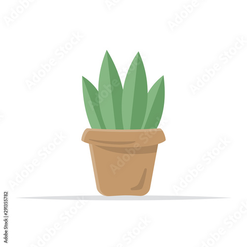 Potted plants. Isolated on a white background