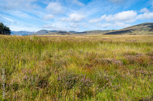 Upland Marshy Moor, Glen Clova, Angus, Scotland