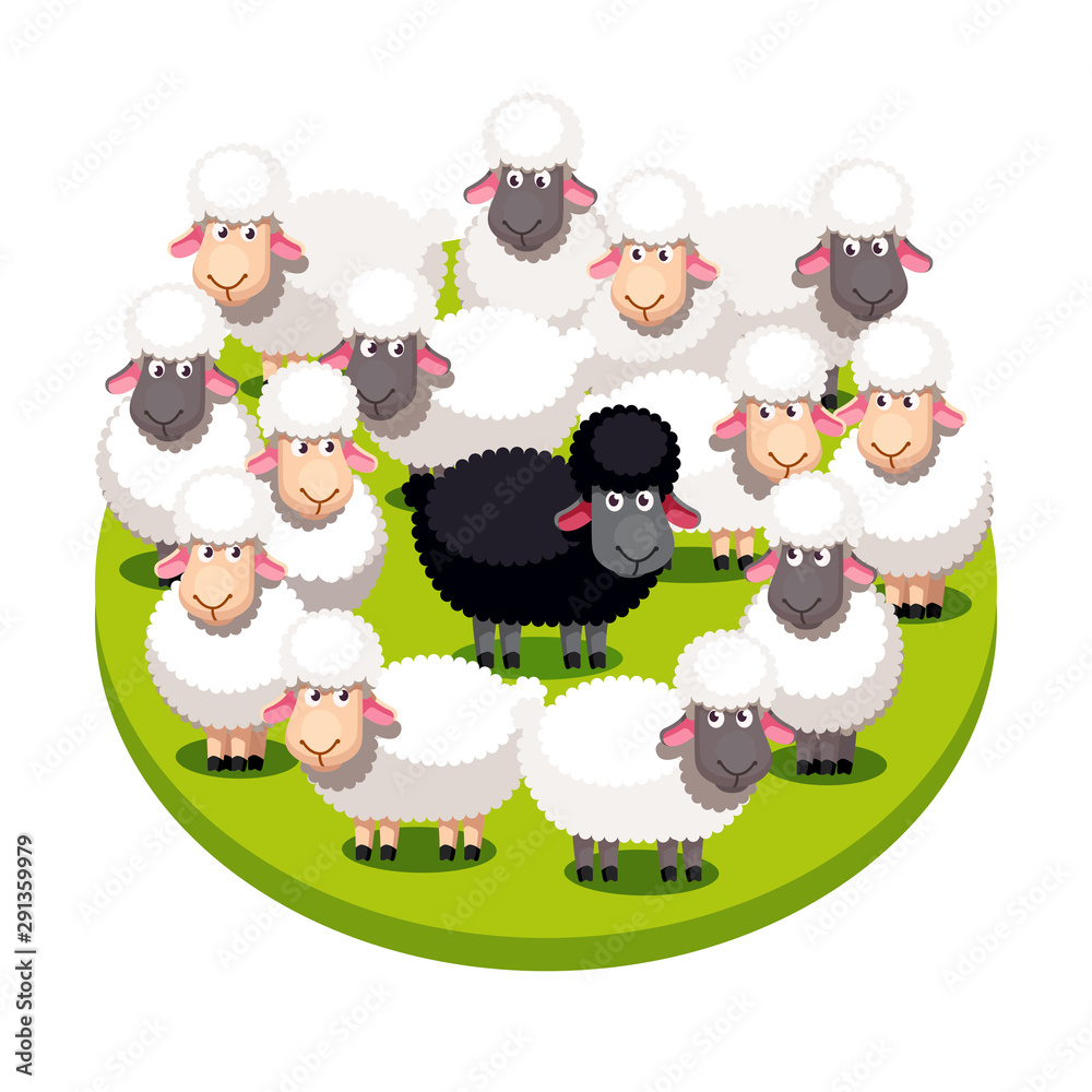 Special black sheep standing among white sheep Special black sheep standing among white sheep