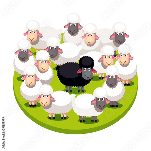 Special black sheep standing among white sheep