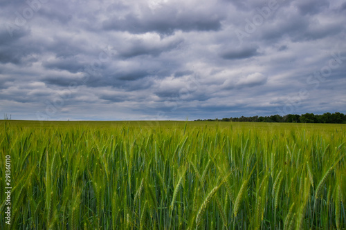 long exposure of a field