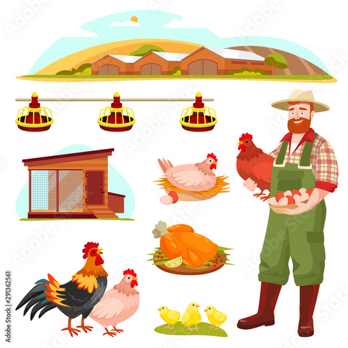 Poultry farm fowl, equipment and farmer, isolated on white background. Vector flat cartoon illustration.