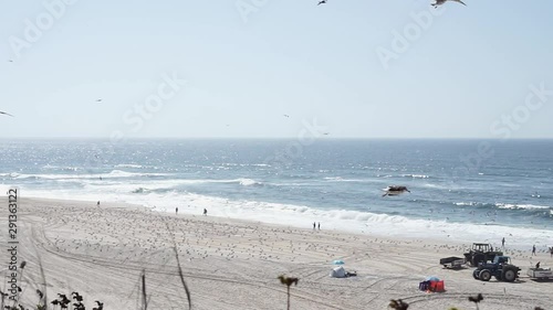 Following Seagulls flying and panning to the beach view.