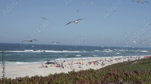 Group of Seagulls flying close to the camera. People below enjoying a beach day.