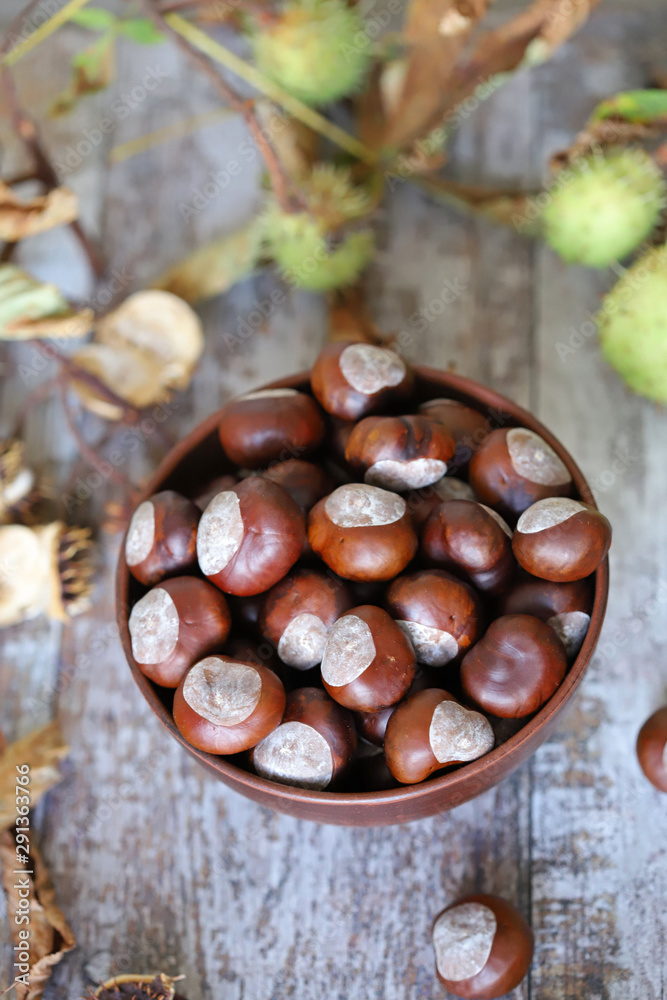 Obraz premium Chestnuts in a bowl. Chestnut leaves. Autumn composition with chestnuts.