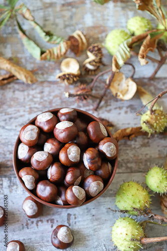 Chestnuts in a bowl. Chestnut leaves. Autumn composition with chestnuts.