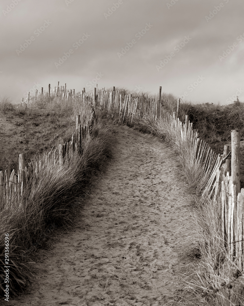 Obraz premium Path leading through sand dunes bordered by shabby chic fence