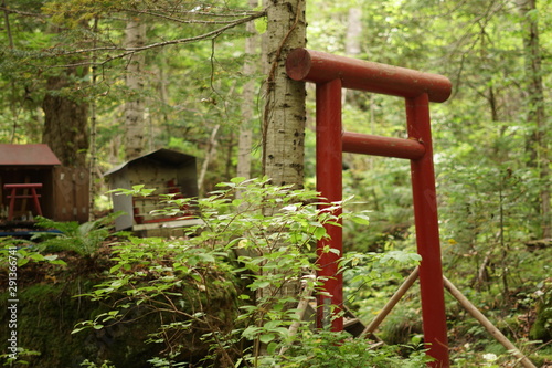 Japanese Small red torii gate