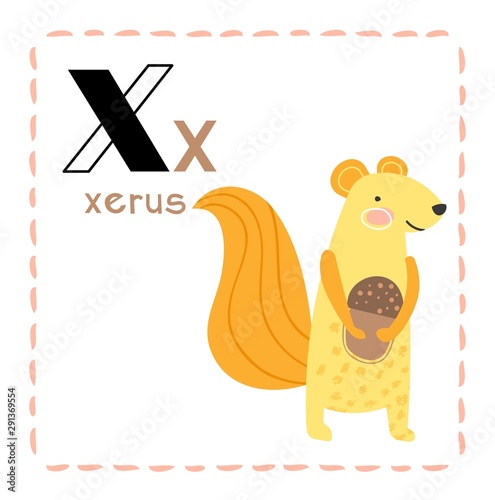 Cartoon Alphabet letter X for Xerus for teaching kids to read and write with upper and lower case text alongside a cute little Xerus or African ground squirrel with bushy tail, vector illustration