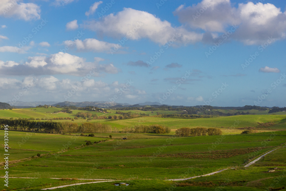 View of green hills of North island of New Zealand