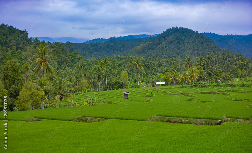Bamboo huts and green rice fields with beautful mountains in Bali Indonesia