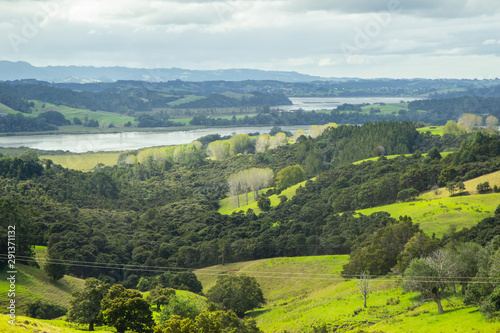 Fototapeta Naklejka Na Ścianę i Meble -  View of green hills of North island of New Zealand