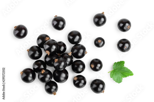 black currant with leaf isolated on white background. Top view. Flat lay pattern