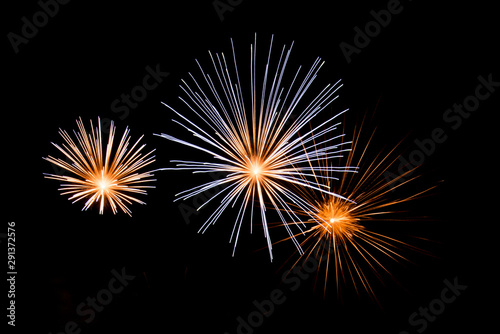 Beautiful Firework in the sky  celebration and new year concept