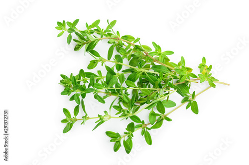 Fresh thyme spice isolated on white background
