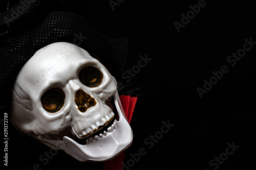 Creepy smiling skeleton skull close up on black background with copy space, death and mystery concept, halloween