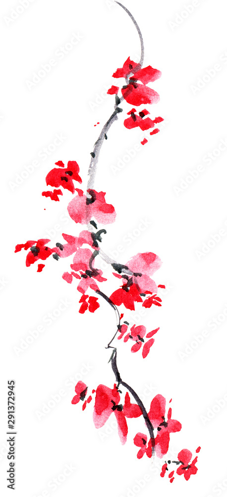 Blossom sakura tree