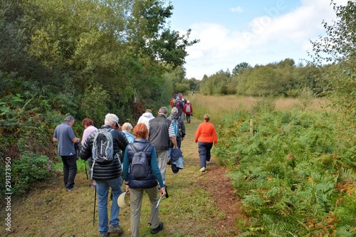 Groupe de randonneurs sur un sentier en Bretagne