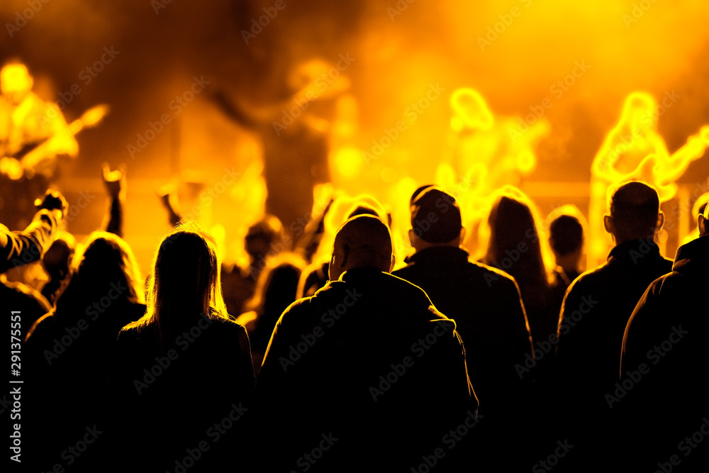 Fans enjoying festival music concert.