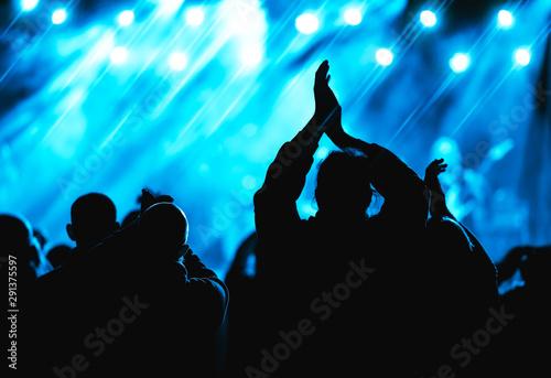 Fans enjoying festival music concert.