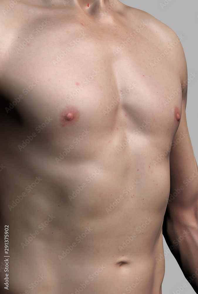 Man's Upper Body Stock Image C052/9921 Science Photo Library