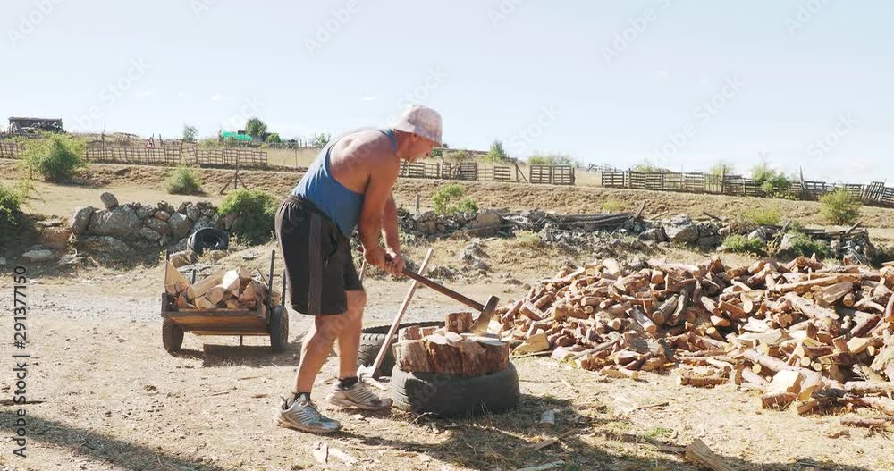 Woodcutter cutting firewood inside a wheel, on a summer afternoon in a