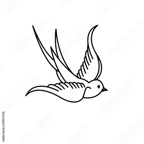 bird vector ilustration