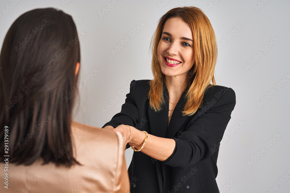 Two young beautiful businesswomen in a meeting shaking hands Two young beautiful businesswomen in a meeting shaking hands