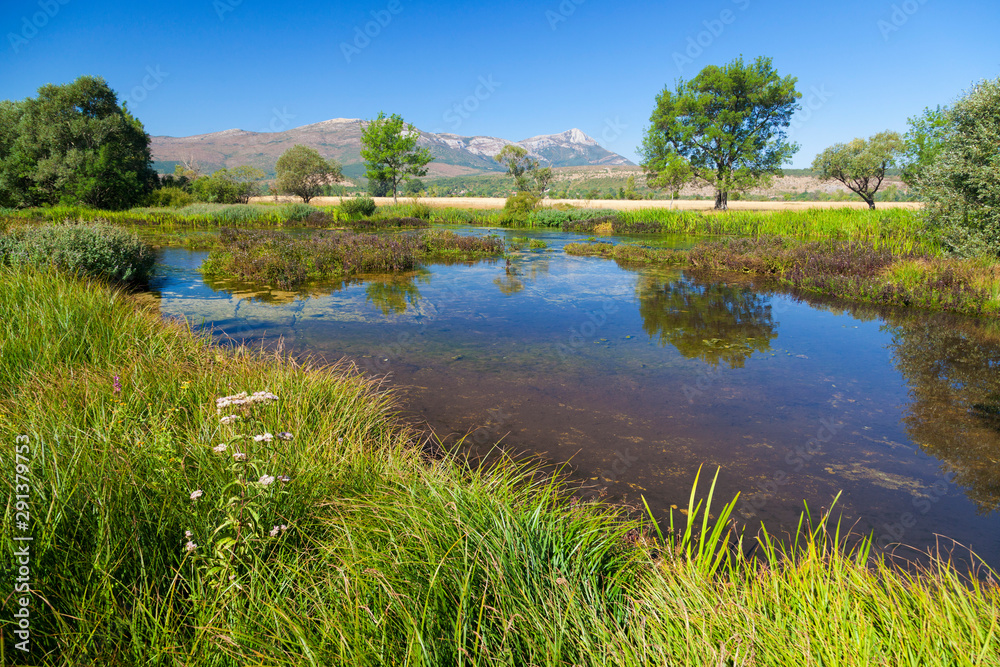 Fototapeta premium The Cetina River in the karst plain, Croatia