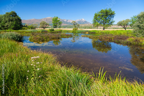 The Cetina River in the karst plain, Croatia