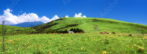 фотографія 長野県・諏訪市 夏の車山高原のパノラマ風景