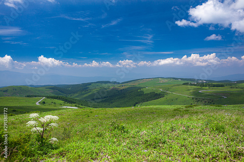 長野県・諏訪市 夏の車山高原の風景