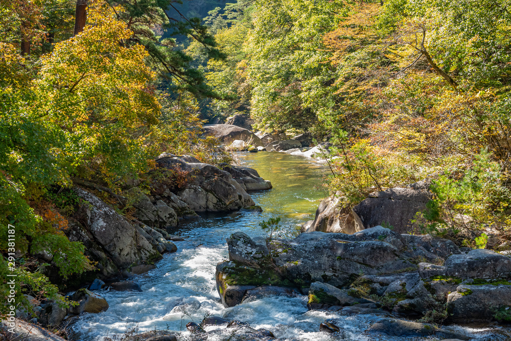 Mitake Shosenkyo Gorge Autumn foliage scenery view in sunny day. Beauty landscapes of magnificent fall colours. A popular tourist attractions in Kofu, Yamanashi Prefecture, Japan
