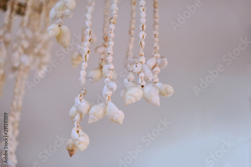 White decorative treated seashells on a string, close-up