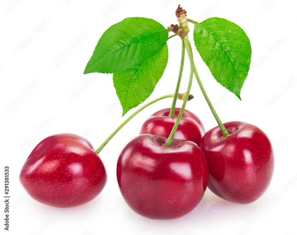 Fresh cherry on white background Fresh cherry on white background
