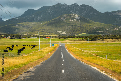 Road to Mount Strzelecki on Flinders Island, Tasmania photo
