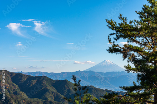 Mount Fuji  the World Heritage. Beautiful scenery view  pine forests in foreground  blue sky and white clouds in background. Shosenkyo observation station  Kofu City  Yamanashi Prefecture  Japan