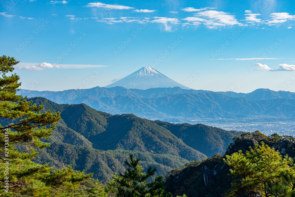 Mount Fuji, the World Heritage. Beautiful scenery view, pine forests in foreground, blue sky and white clouds in background. Shosenkyo observation station, Kofu City, Yamanashi Prefecture, Japan