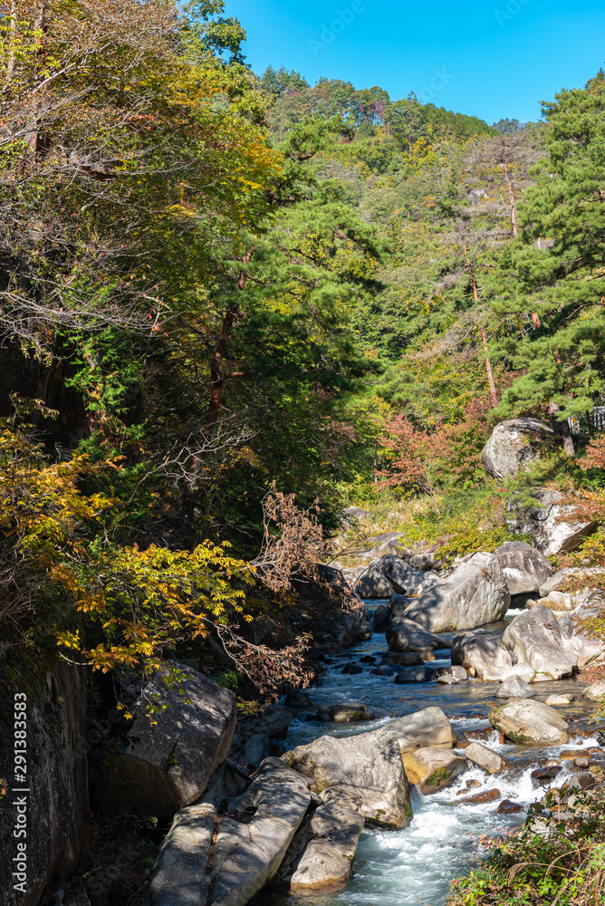 Mitake Shosenkyo Gorge Autumn foliage scenery view in sunny day. Beauty landscapes of magnificent fall colours. A popular tourist attractions in Kofu, Yamanashi Prefecture, Japan Mitake Shosenkyo Gorge Autumn foliage scenery view in sunny day. Beauty landscapes of magnificent fall colours. A popular tourist attractions in Kofu, Yamanashi Prefecture, Japan