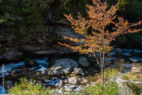 Mitake Shosenkyo Gorge Autumn foliage scenery view in sunny day. Beauty landscapes of magnificent fall colours. A popular tourist attractions in Kofu, Yamanashi Prefecture, Japan photo