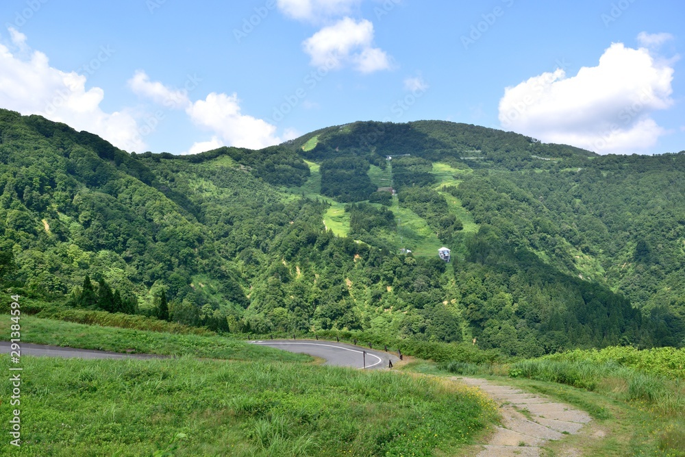 Naklejka premium 夏の湯沢高原 大峰山方面