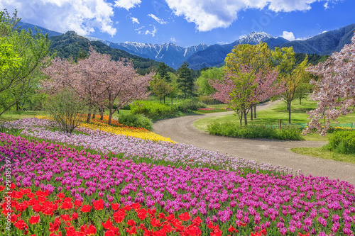 長野県・安曇野市 春の国営アルプスあづみの公園の風景