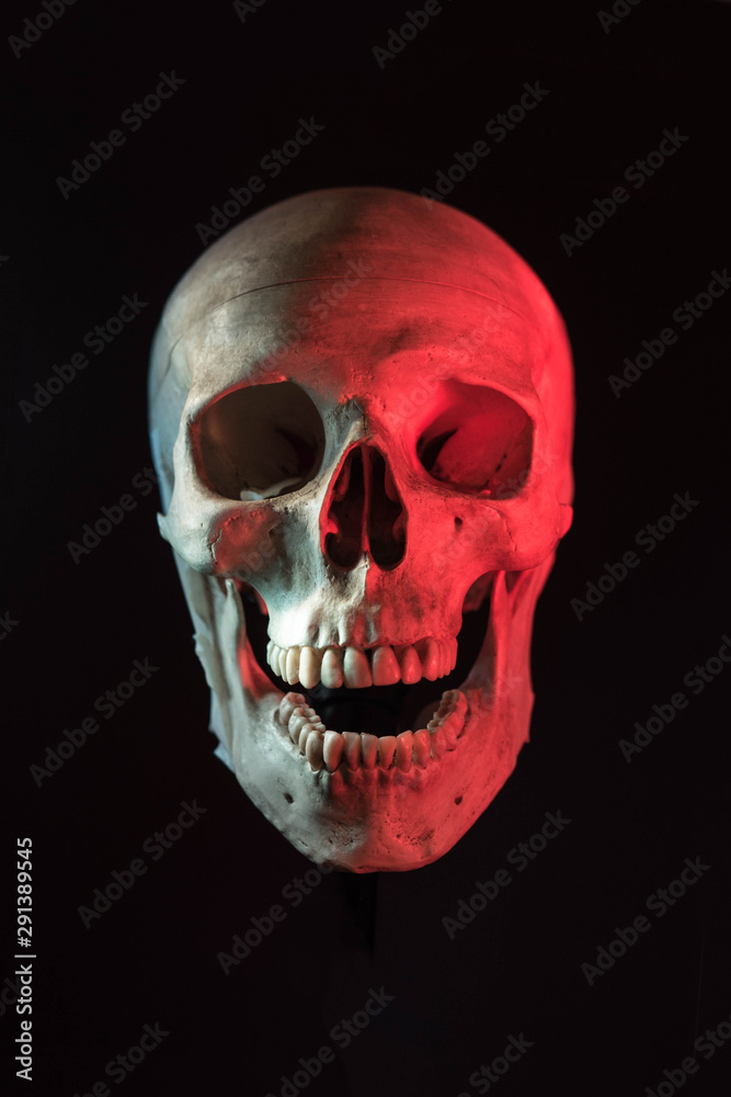 Obraz premium Human skull isolated in black