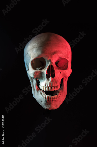 Human skull isolated in black