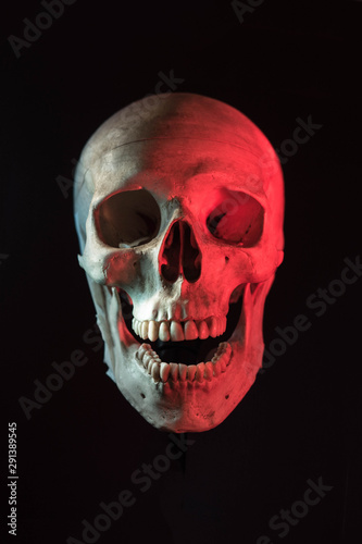 Human skull isolated in black