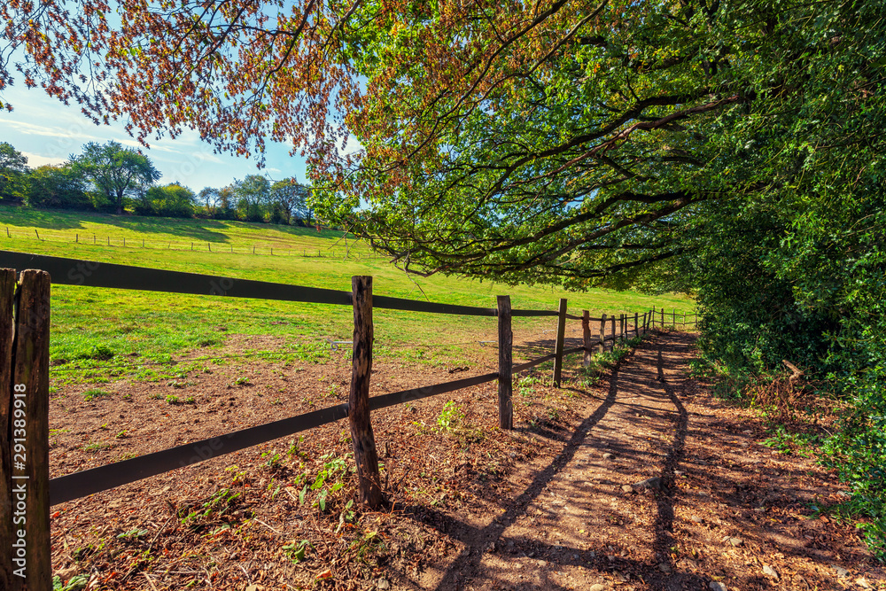 rural landscape with field, trees and blue sky, wuppertal ronsdorf, nrw germany