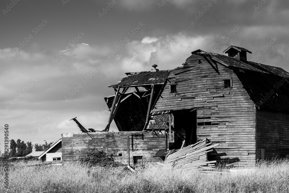 Black and white abandoned barn, aftermath of storm