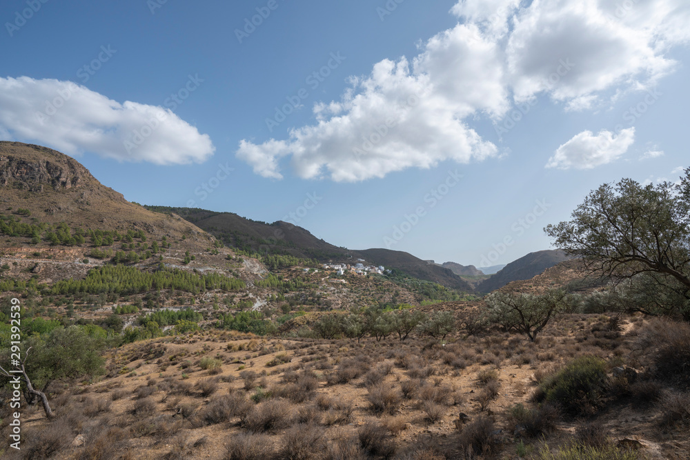 mountainous landscape with olive trees