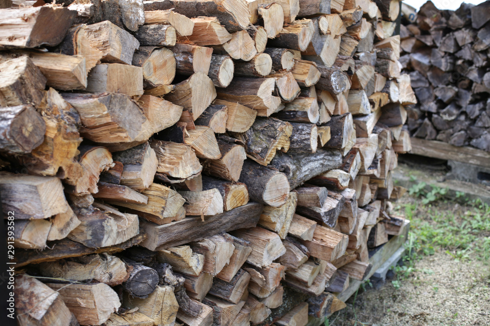 冬に使う薪を集めた写真