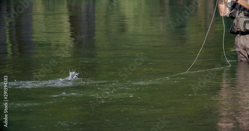 Fly fishing  on the Gacka River, Croatia photo